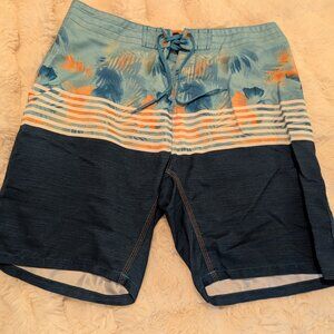 Burnside Men’s Boardshorts | Blue Tropical Stripe | Size 34